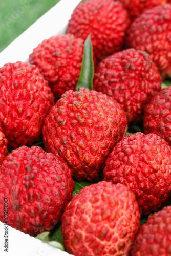 Fresh Red Lychee Fruits in Container - Exotic Tropical Fruit Display