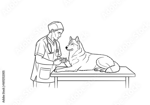 Veterinarian examining a calm Siberian Husky dog with care in a veterinary clinic