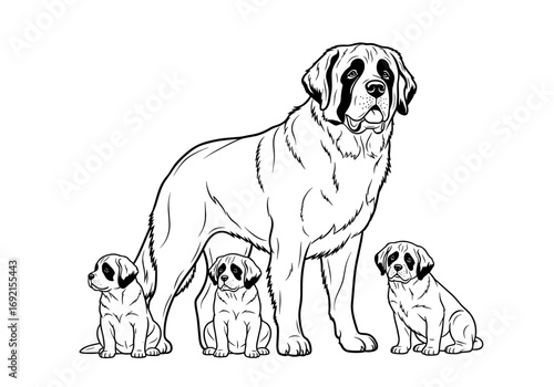 Adult St. Bernard standing proudly with three adorable puppies
