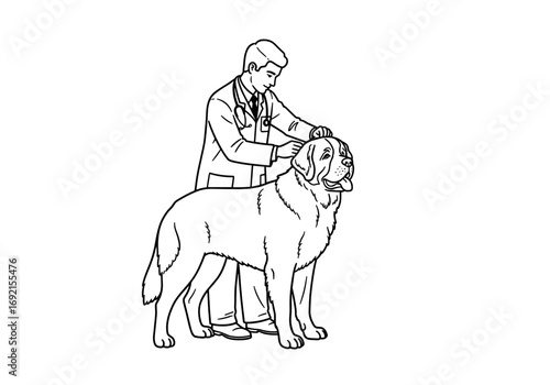 Veterinarian examining St. Bernard dog with care in clinic setting