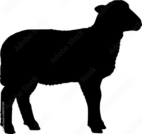 a silhouette of a lamb, full body, side view, black, simplicity