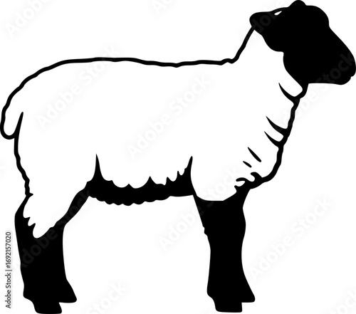 a silhouette of a lamb, full body, side view, black, simplicity