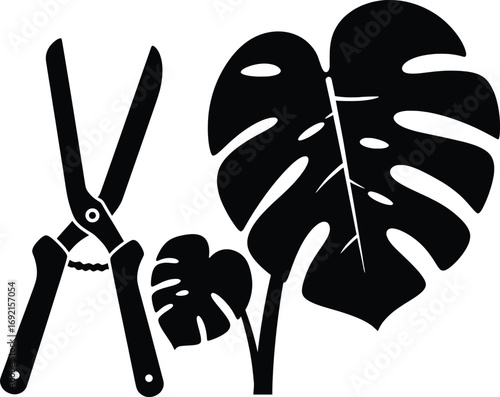Scissors and Monstera Plant, Indoor Garden, Vector Illustration, Minimalistic Design, High Contrast, Artistic Perspective