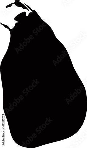 Sri Lanka map silhouette black country border outline shape