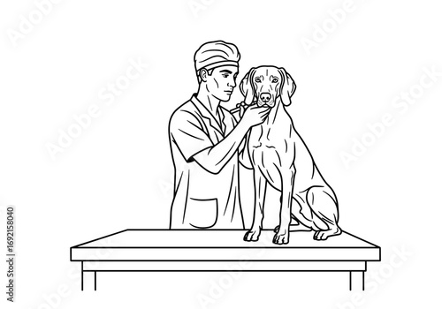 Veterinarian examining Weimaraner dog on examination table in clinic