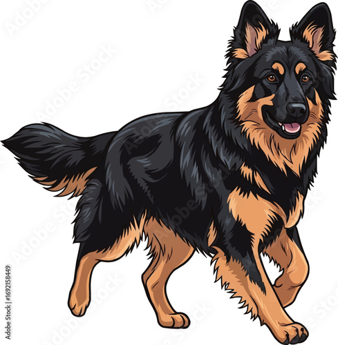 Bohemian Shepherd dog walking playful cute vector illustration