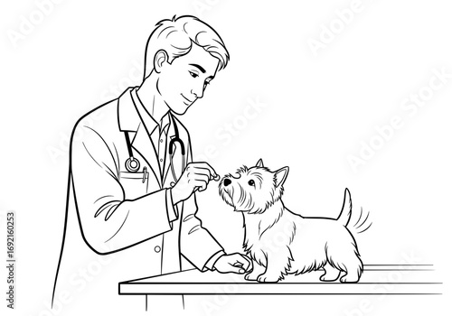 Veterinarian examining West Highland White Terrier with care on examination table