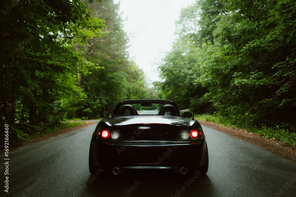 Classic convertible car on a serene forest road Classic convertible car on a serene forest road