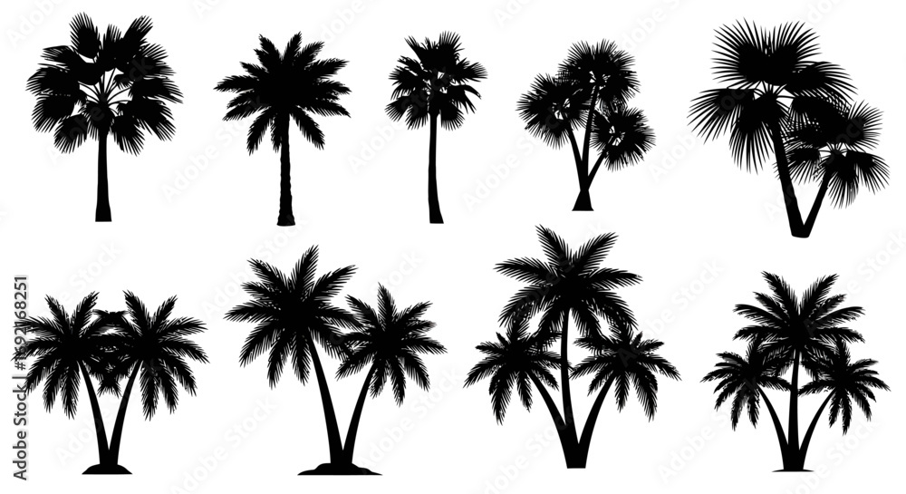 Obraz premium Set of black vector silhouettes of tropical palm trees.