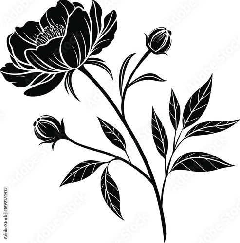 Large Bloom with Small Buds Flower Vector, Flower Cluster vector Illustration, Blooming Flower with Buds vector Design, Botanical Flower Vector Art