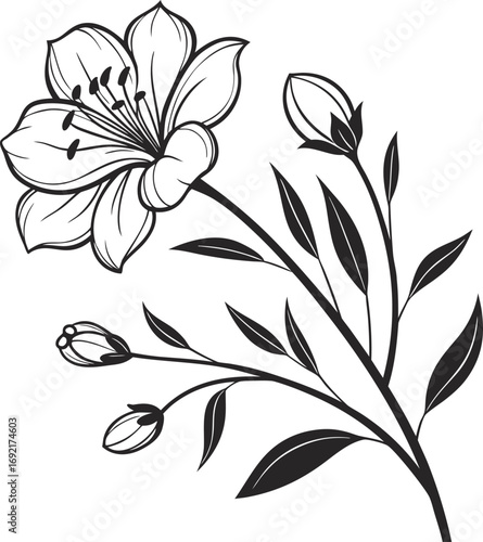 Large Bloom with Small Buds Flower Vector, Flower Cluster vector Illustration, Blooming Flower with Buds vector Design, Botanical Flower Vector Art