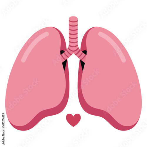 Human Lungs with Heart Icon Medical Anatomy and Healthcare Vector Illustration