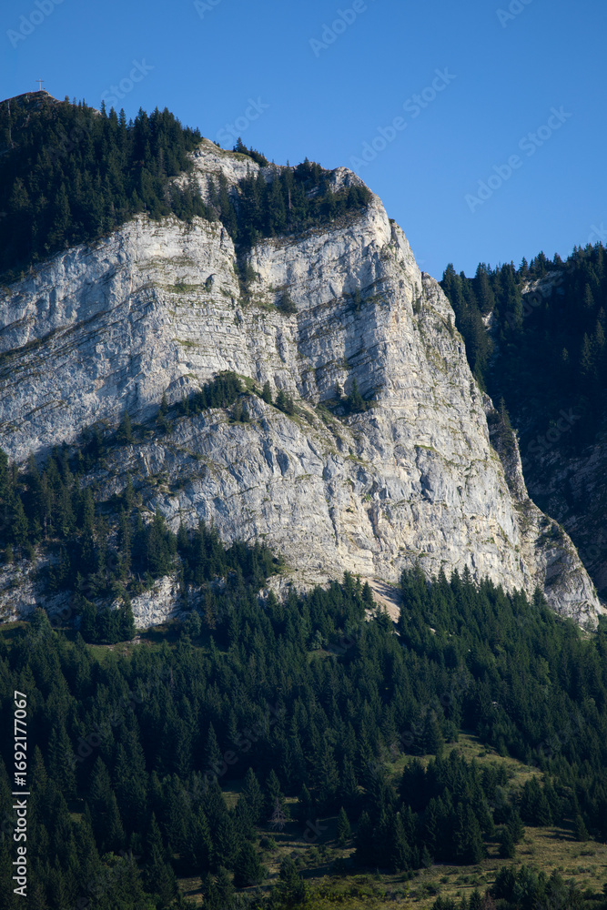 Fototapeta premium Montagne des Alpes aux falaises rocheuses et abruptes, garnies de sapins, sous le soleil et le ciel bleu d'été.