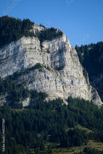 Montagne des Alpes aux falaises rocheuses et abruptes, garnies de sapins, sous le soleil et le ciel bleu d'été.