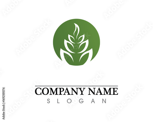Eco, leaf, athletic, balance, body, brand, care, club, creative,