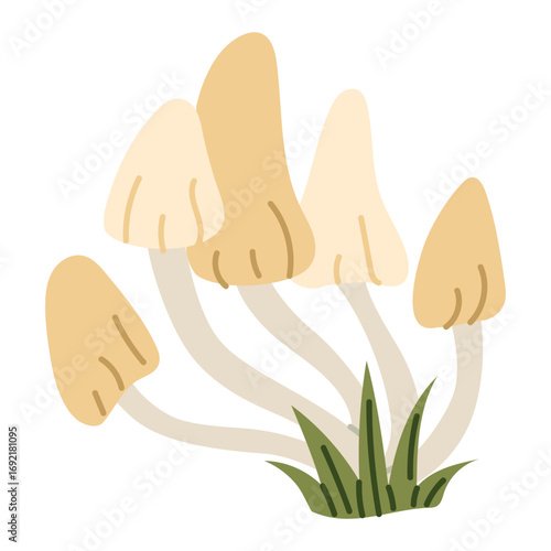 Mushrooms grow together, light mushrooms. Flat color illustration. Forest subject. Picking. Group of mushrooms on long stems in the grass. Design for postcards. Picnic, hike, walk in the forest
