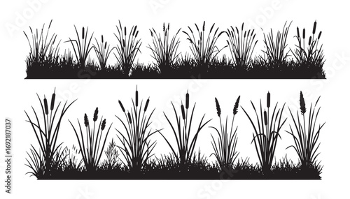 Silhouette of grass featuring reeds. A collection of vector illustrations showcasing black shadows of marsh plants for design purposes. Isolated elements of meadow and lake vegetation on a white
