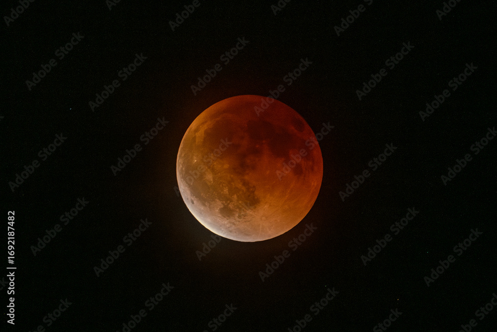 Fototapeta premium Blood Moon Lunar Eclipse Over Night Sky