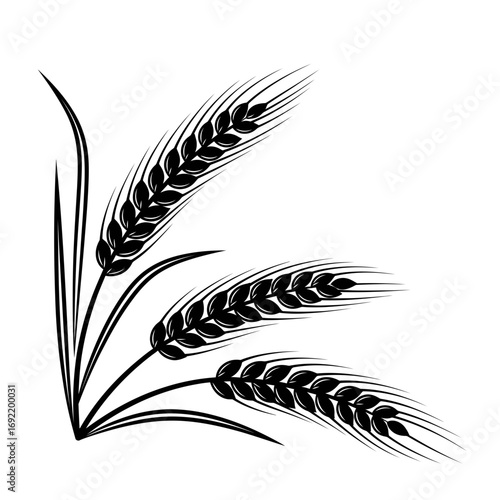 Vector art of three wheat ears, representing a bountiful harvest and natural beauty, ideal for food and agriculture themes