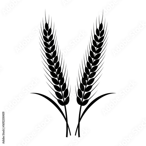 Vector art of a symmetrical pair of wheat ears, symbolizing abundance and prosperity in a simple and elegant design