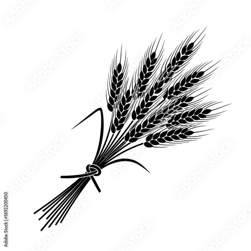 Vector art of bunch of wheat ears tied with a ribbon, symbol of agriculture, harvest, and abundance in a simple style