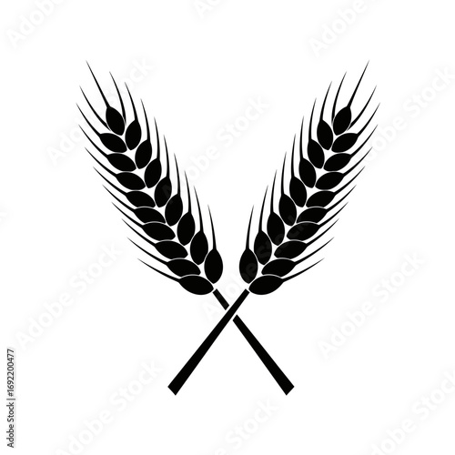 Vector art of two crossed wheat ears, a symbol of agriculture, harvest, or food production, in a simple and elegant design