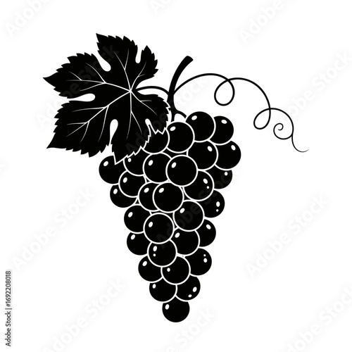Vector art of elegant grape cluster illustration with leaf, perfect for wine branding, food packaging, or vineyardthemed designs