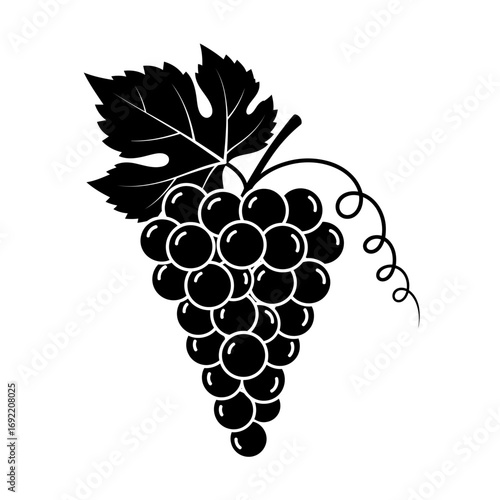 Vector art of elegant grape bunch illustration with leaf, ideal for winery branding, product packaging, or culinary designs