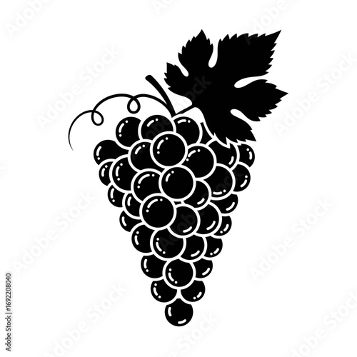 Illustration of a bunch of grapes with a leaf, perfect for wine labels, vineyard logos, or food illustrations