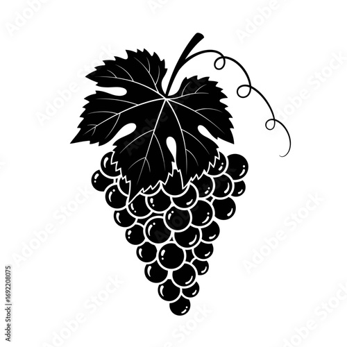 Vector art of detailed grape bunch illustration with leaf, suitable for wine industry, food packaging, or artistic projects