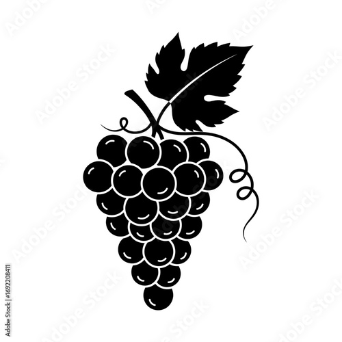 Vector art of detailed illustration of a grape bunch with leaf, capturing the essence of winemaking and autumnal bounty