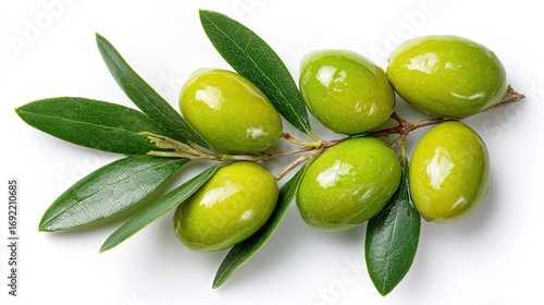 Wallpaper Mural Bottle of olive oil and green olives with leaves Torontodigital.ca