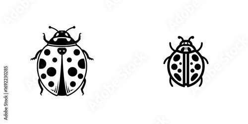 Two minimalist ladybug icons in a simple black and white graphic style for logo or symbol design isolated on a white background