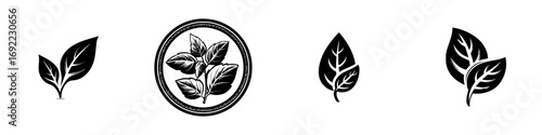 Set of black leaf icons and plant symbols for organic logos and eco-friendly branding isolated on a white background