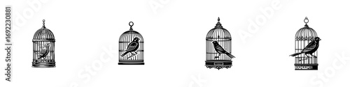 Set of four vintage birdcages with birds inside, isolated on a white background in a black and white engraving style