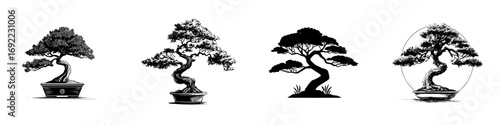 Black and white bonsai tree collection with detailed ink drawings and simple silhouettes in a traditional Japanese art style