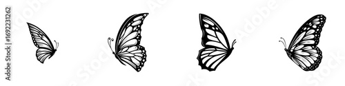 Collection of monochrome butterfly designs in profile view with detailed wings in a hand-drawn tattoo art style