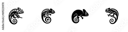 Set of four black chameleon silhouettes with decorative tribal patterns for logo or icon design, isolated on a white background