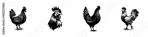Set of black and white chicken and rooster icons in a graphic woodcut style for farm or poultry logos