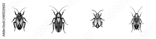 Set of four black and white cockroach icons in a graphic woodcut style for pest control concepts isolated on a white background