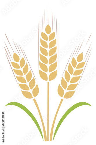 Three golden wheat ears and green leaves design element vector illustration