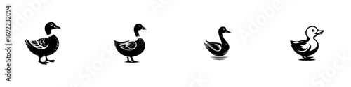 Collection of four black duck silhouettes in various poses, a minimalist bird icon set for graphic design and branding