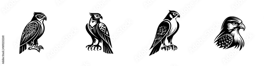 Obraz premium Set of four black and white falcon icons for logos and emblems, stylized graphic bird of prey mascot collection isolated on white