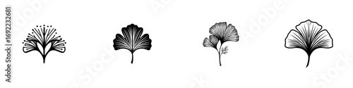 Set of Ginkgo biloba leaf icons in a minimalist black and white line art style for botanical logos and elegant design elements isolated on a white background