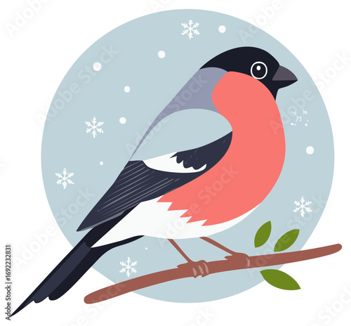 Cute bullfinch bird with a red breast perched on a branch in a winter scene with snowflakes