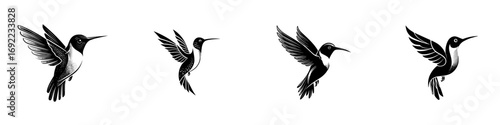 Set of four black and white hummingbird silhouettes in flight, isolated on a white background in a graphic linocut style