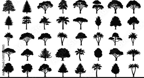 Black silhouette tree collection vector illustration, forest and tropical plants, decorative tree shapes, nature artwork, woodland elements, graphic landscape design, botanical foliage art