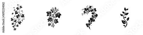 Set of black vine silhouettes for decorative design elements, isolated floral ornaments with leaves and berries