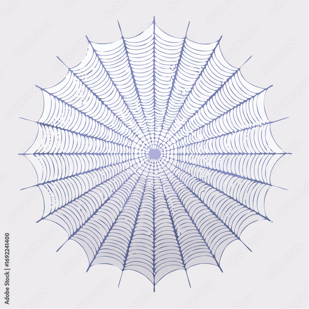 Obraz premium Abstract Circular Spiderweb Design