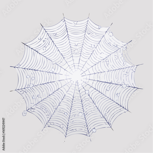 Circular Light Gray Spider Web Design